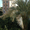 foto Hotel Lodi